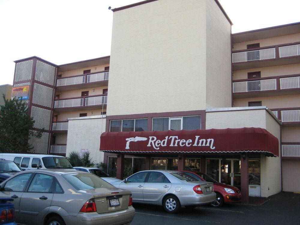 Oasis Hotel North Myrtle Beach Ngoại thất bức ảnh